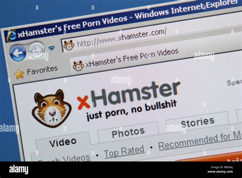 is xhamster|About Us